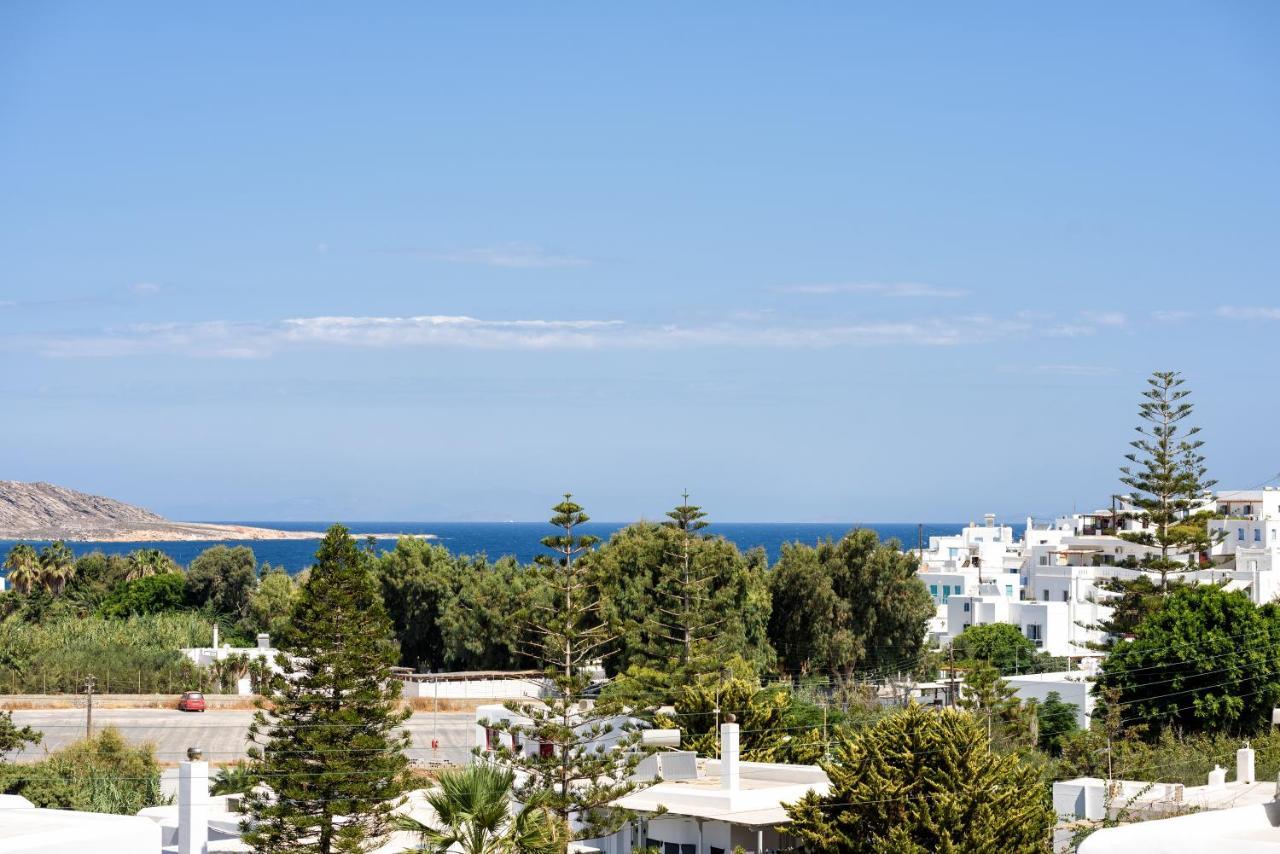 Hara'S Villa In Naousa , Paros Exterior foto